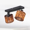 Cando Plafones, Spot techo Negro, 2 luces