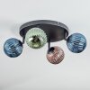 Chehalis Plafones, Luminarias esféricas Azul, Verde, Color cobre, 4 luces