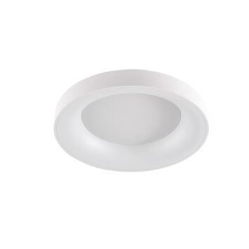 WOFI CAMERON Lámpara de Techo LED Blanca, 1 luz, Mando a distancia WOFI CAMERON Lámpara de Techo LED Blanca, 1 luz, Mando a distancia