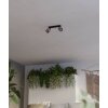 Lámparas Eglo ROSLEY Plafones, Spot techo Negro, 2 luces