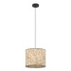 Lámparas Eglo BUTTERBURN Lámparas suspendidas Negro, 1 luz
