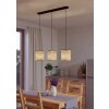 Lámparas Eglo BUTTERBURN Lámparas suspendidas Negro, 3 luces