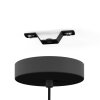 Lámparas Eglo WAVERTON Lámparas suspendidas Negro, 1 luz