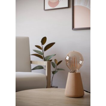 Lámparas Eglo ASBY Lámparas de mesa Marrón claro, 1 luz