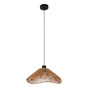 Lámparas Eglo LAVISTER Lámparas suspendidas Negro, 1 luz