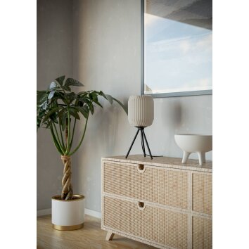 Lámparas Eglo BELGRAVE Lámparas de mesa Negro, 1 luz