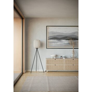 Lámparas Eglo BELGRAVE Lámpara de pie Negro, 1 luz