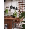 Lámparas Eglo PERSLEY Lámparas suspendidas Negro, 3 luces