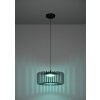 Lámparas Eglo GINESTRONE-Z Lámparas suspendidas LED Negro, 1 luz, Cambia de color