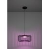 Lámparas Eglo GINESTRONE-Z Lámparas suspendidas LED Negro, 1 luz, Cambia de color