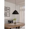 Lámparas Eglo PODERE Lámparas suspendidas Negro, 1 luz