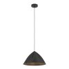 Lámparas Eglo PODERE Lámparas suspendidas Negro, 1 luz