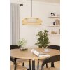 Lámparas Eglo YUKU-Z Lámparas suspendidas LED Blanca, 1 luz, Cambia de color