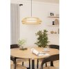Lámparas Eglo YUKU-Z Lámparas suspendidas LED Blanca, 1 luz, Cambia de color