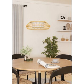Lámparas Eglo YUKU-Z Lámparas suspendidas LED Blanca, 1 luz, Cambia de color