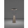 Lámparas Eglo PICCOLA Lámparas de mesa LED Bronce, 1 luz