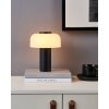 Lámparas Eglo PONENTE Lámparas de mesa LED Negro, 1 luz