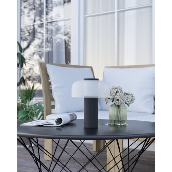 Lámparas Eglo PONENTE Lámparas de mesa LED Negro, 1 luz