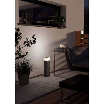 Lámparas Eglo EGLO Lámparas con enchufe Antracita, 1 luz Lámparas Eglo EGLO Lámparas con enchufe Antracita, 1 luz