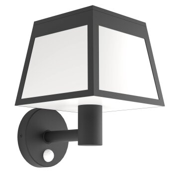 Lámparas Eglo ALTILIA Lámparas solares LED Negro, 1 luz, Sensor de movimiento