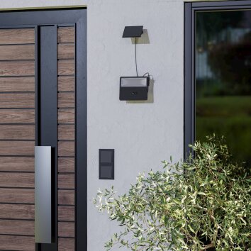 Lámparas Eglo PANETTIERI Lámparas solares LED Negro, 1 luz, Sensor de movimiento Lámparas Eglo PANETTIERI Lámparas solares LED Negro, 1 luz, Sensor de movimiento