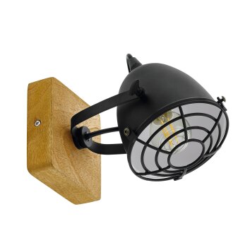 Lámparas Eglo GATEBECK Plafones, Spot techo, Apliques Crudo, 1 luz