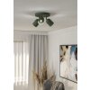 Lámparas Eglo TILSTON Plafones, Spot techo Verde, 3 luces