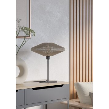 Lámparas Eglo MIDSUMER Lámparas de mesa Negro, 1 luz