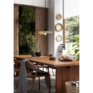 Lámparas Eglo MARYWELL Lámparas suspendidas Negro, 1 luz