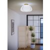 Lámparas Eglo SUMMERHILL Plafones Marrón, 1 luz