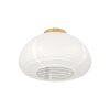 Lámparas Eglo SUMMERHILL Plafones Marrón, 1 luz