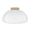 Lámparas Eglo SUMMERHILL Plafones Marrón, 1 luz
