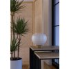 Lámparas Eglo SUMMERHILL Lámparas de mesa Marrón, 1 luz