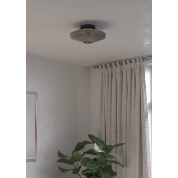 Lámparas Eglo MIDSUMER Plafones Negro, 1 luz