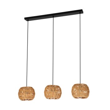 Lámparas Eglo SHELDON Lámparas suspendidas Negro, 3 luces