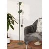 Lámparas Eglo TILSTON Lámpara de pie Verde, 2 luces