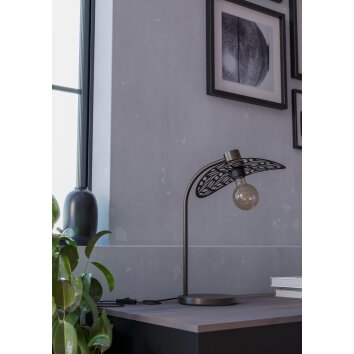 Lámparas Eglo SWABY Lámparas de mesa Bronce, 1 luz