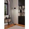 Lámparas Eglo MANNERA-L Lámpara de pie LED Negro, 1 luz, Mando a distancia, Cambia de color