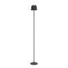 Lámparas Eglo MANNERA-L Lámpara de pie LED Negro, 1 luz, Mando a distancia, Cambia de color