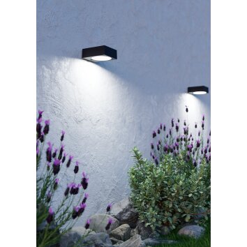 Lámparas Eglo DARFANO Lámparas solares LED Negro, Sensor de movimiento