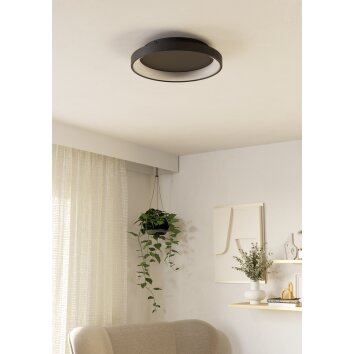 Lámparas Eglo LORETELLO Plafones, Plafones y apliques / Lámparas de techo y pared LED Negro, Mando a distancia