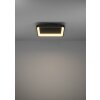 Lámparas Eglo LORETELLO Plafones, Plafones y apliques / Lámparas de techo y pared LED Negro, Mando a distancia
