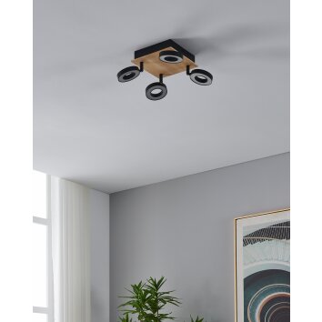 Lámparas Eglo RIELVES Plafones, Spot techo LED Marrón, Negro