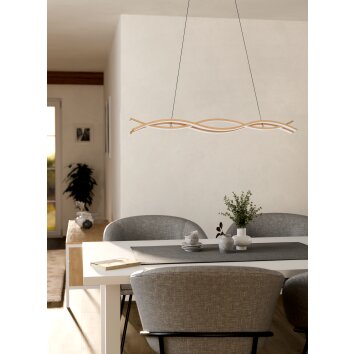 Lámparas Eglo EGLO Lámparas suspendidas LED Marrón claro