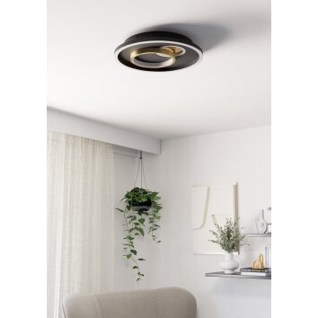 Lámparas Eglo TIRIOLO Plafones, Plafones y apliques / Lámparas de techo y pared LED dorado, Negro