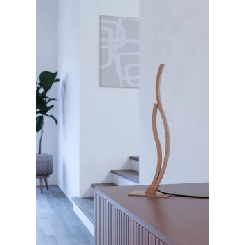 Lámparas Eglo GRISOLIA Lámparas de mesa LED Marrón