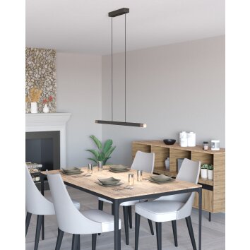 Lámparas Eglo LISCIANA Lámparas suspendidas LED Gris