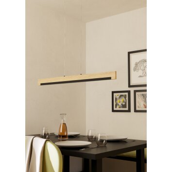 Lámparas Eglo CAMACHO Lámparas suspendidas LED Marrón, Negro