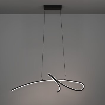 Lámparas Eglo CARDONCITO Lámparas suspendidas LED Negro, Cambia de color