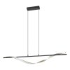 Lámparas Eglo CONAPRATO Lámparas suspendidas LED Latón, Negro